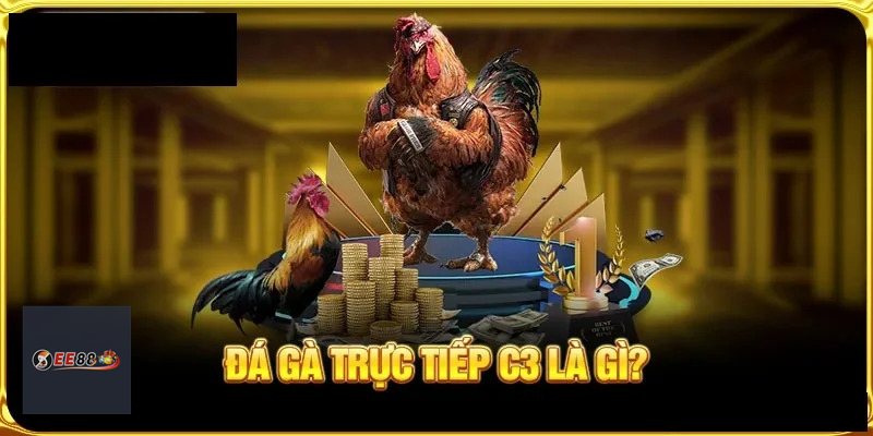 Đá Gà Online - Cách hiểu đúng cho người mới